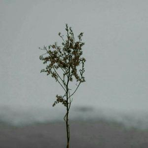 肉伦公主疯狂肉体⋯粗喘
