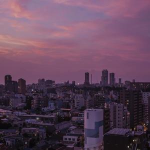 肉伦公主疯狂肉体⋯粗喘
